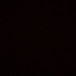 Meet your Posher, Shane